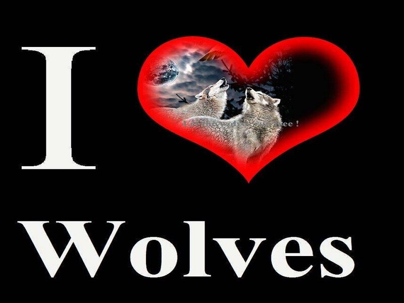 Two Wolves Howling — Black, Dramatic, Night, Digital Art, Heart
