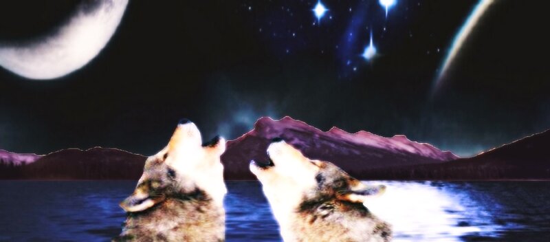 Two Wolves Howling — Black, Dramatic, Night