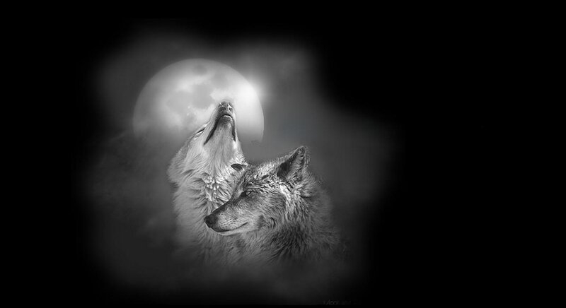 Two Wolves Howling — Black