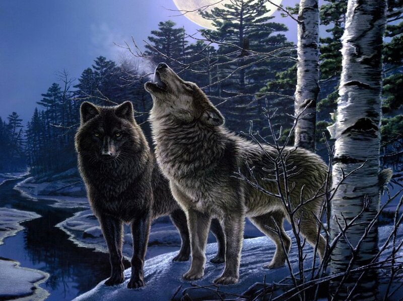 Two Wolves Howling — Blue, Dramatic, Night, Digital Art, Forest