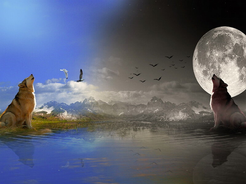 Two Wolves Howling — Blue, Dramatic, Night, Digital Art, Moon, Mountains