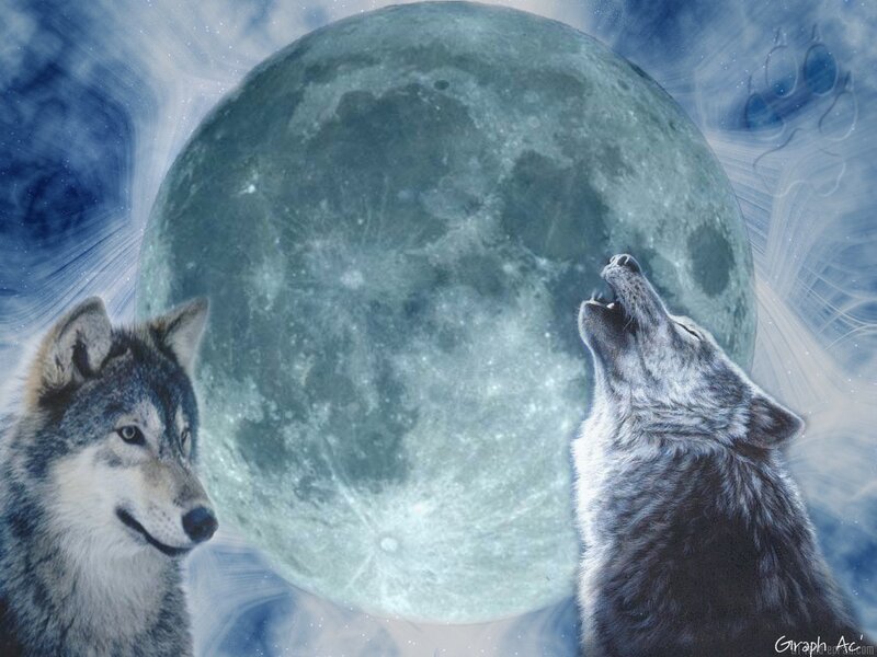 Two Wolves Howling — Blue, Dramatic, Night, Digital Art, Moon, Sky