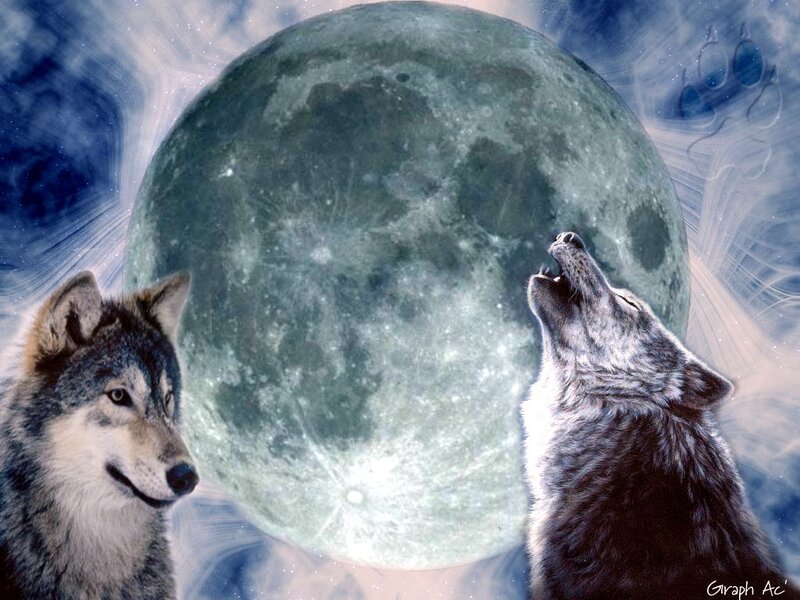 Two Wolves Howling — Blue, Dramatic, Night, Digital Art, Moon