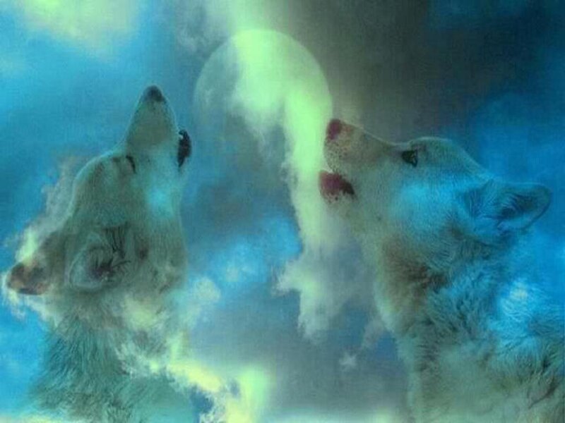 Two Wolves Howling — Blue, Dramatic, Night, Digital Art