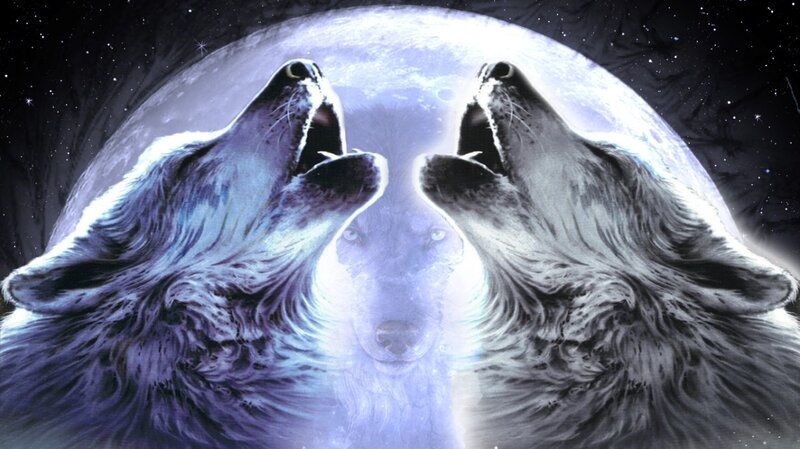 Two Wolves Howling — Blue, Dramatic, Night