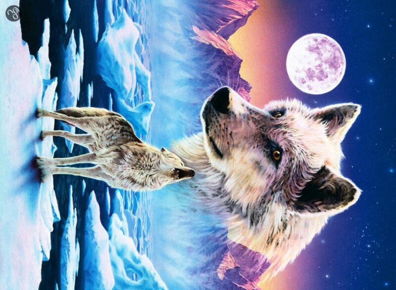 Two Wolves Howling — Blue, Dramatic
