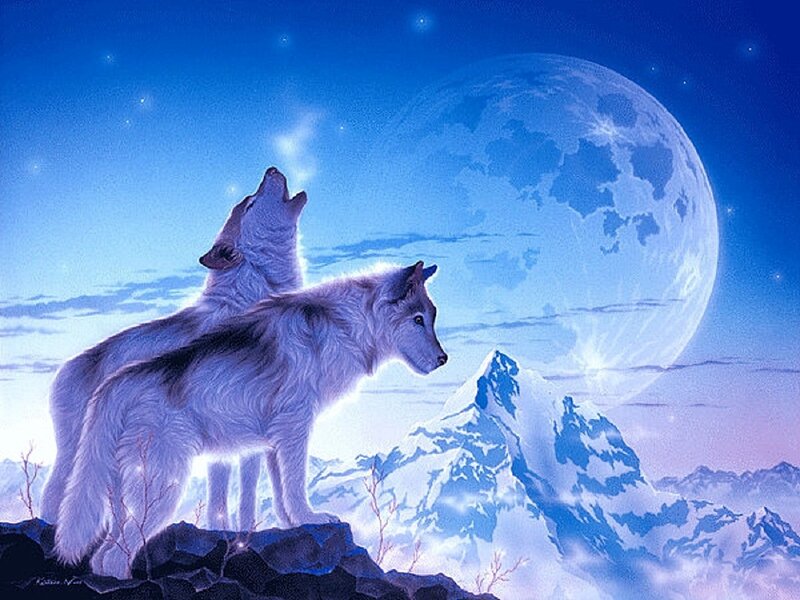 Two Wolves Howling — Blue, Serene, Night, Digital Art, Moon