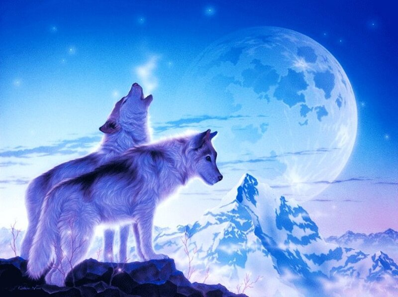 Two Wolves Howling — Blue, Serene, Night, Digital Art