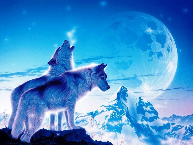 Two Wolves Howling — Blue