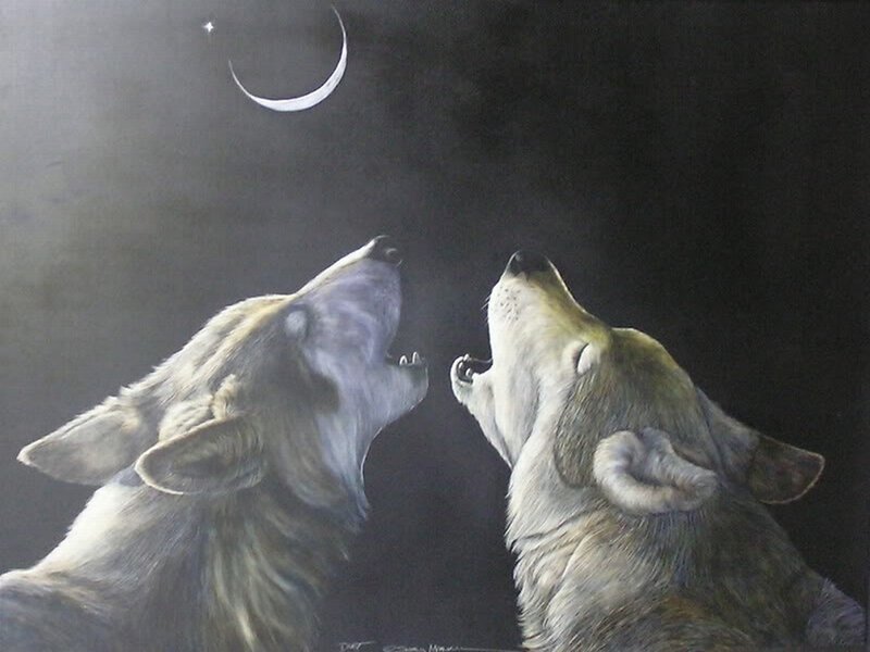 Two Wolves Howling — Gray, Dramatic, Night