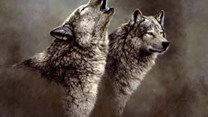 Two Wolves Howling — Gray, Dramatic, Painting