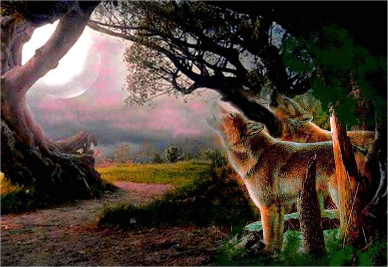 Two Wolves Howling — Green