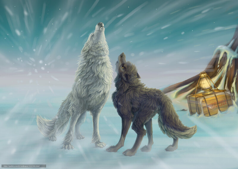 Two wolves howling in snow