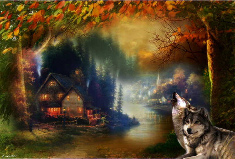 Two Wolves Howling — Orange, Serene