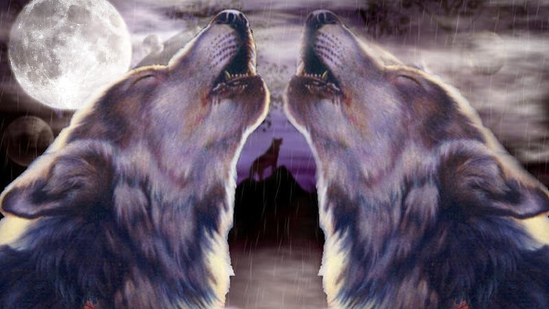 Two Wolves Howling — Purple, Dramatic, Night, Digital Art