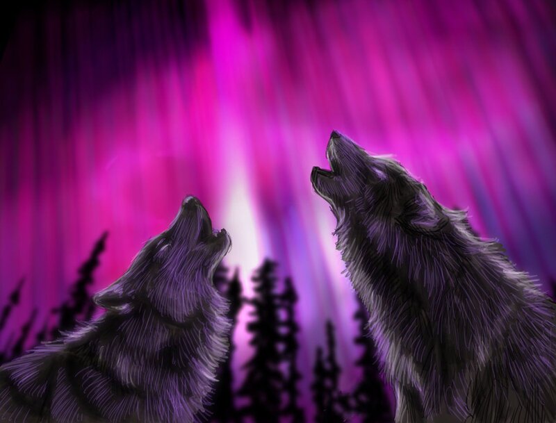 Two Wolves Howling — Purple