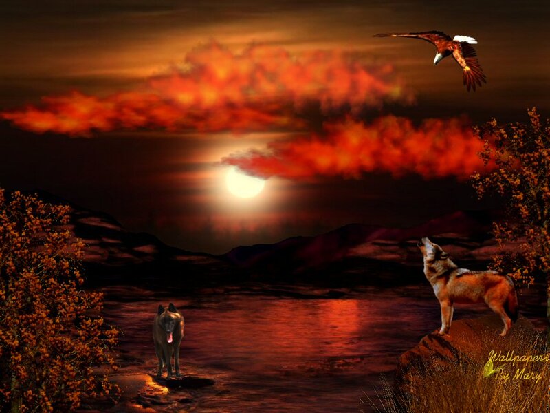 Two Wolves Howling — Red, Dramatic, Sunset