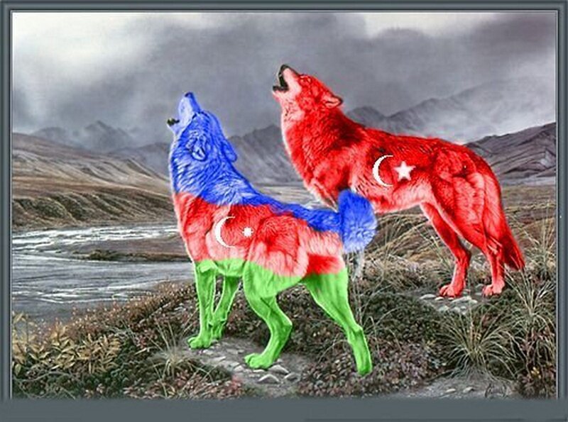 Two Wolves Howling — Red, Dramatic