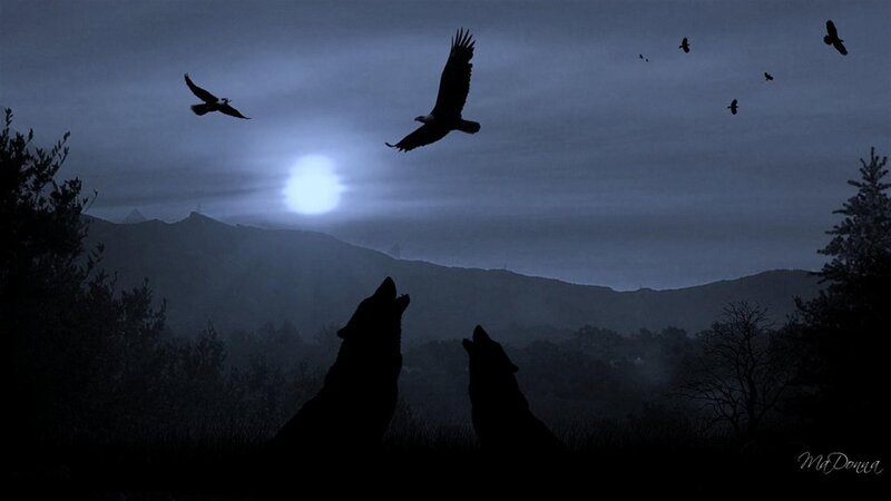 Two Wolves Howling
