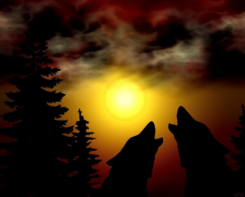 Two Wolves Howling — Yellow, Dramatic