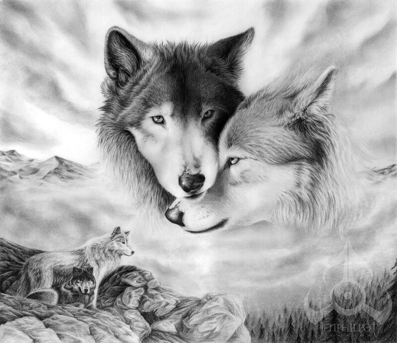 Two wolves in a mountain landscape