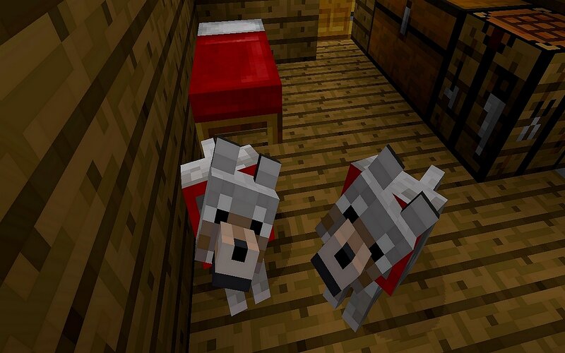 Two Wolves in a Room