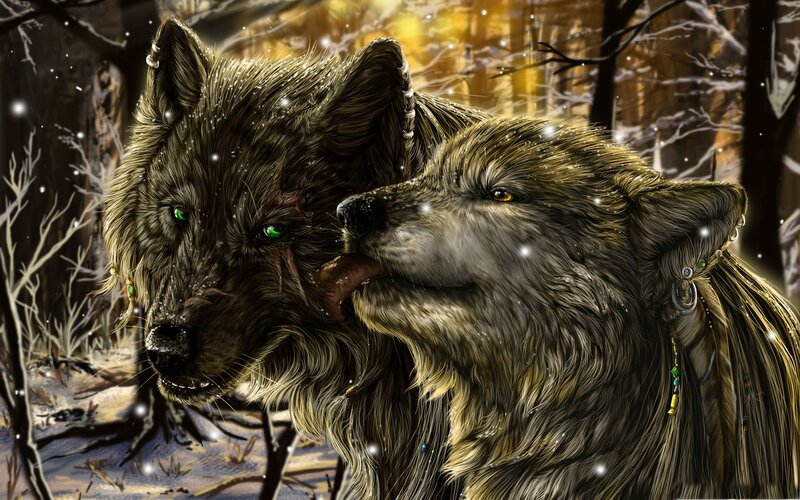 Two wolves in a snowy forest