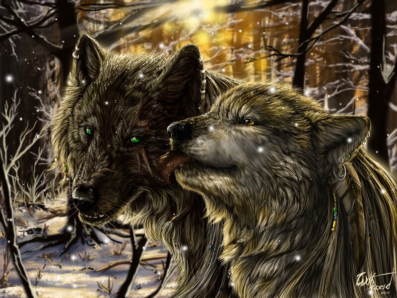 Two wolves in a snowy forest
