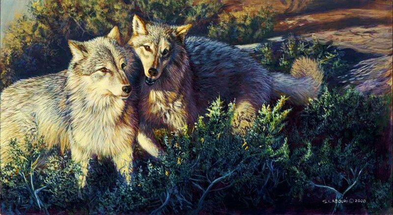 Two Wolves in Bushes