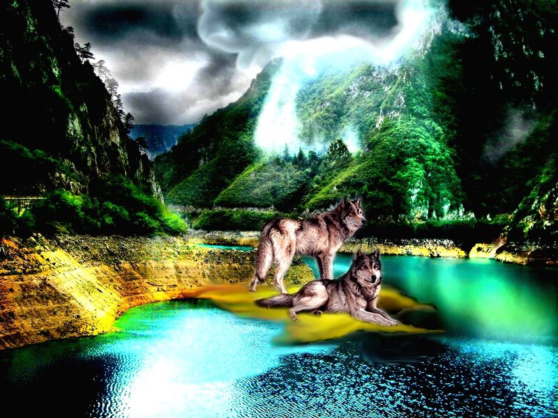 Two Wolves in Canyon — Green