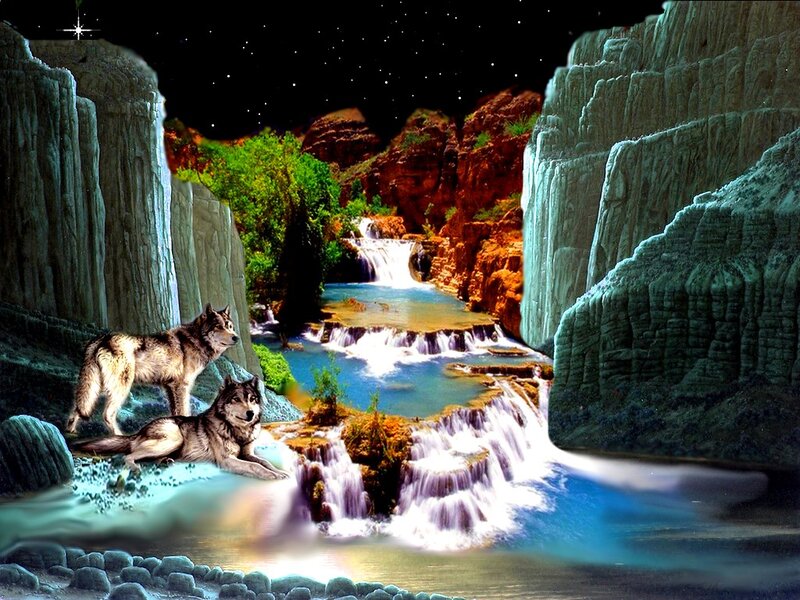 Two Wolves in Canyon