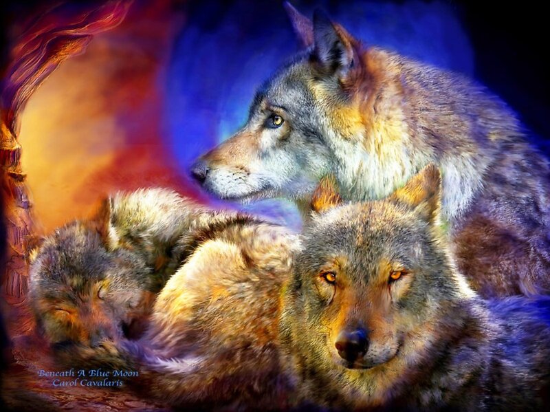 Two Wolves in Cave — Blue, Dramatic