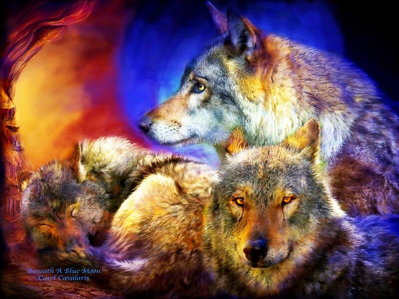 Two Wolves in Cave — Blue