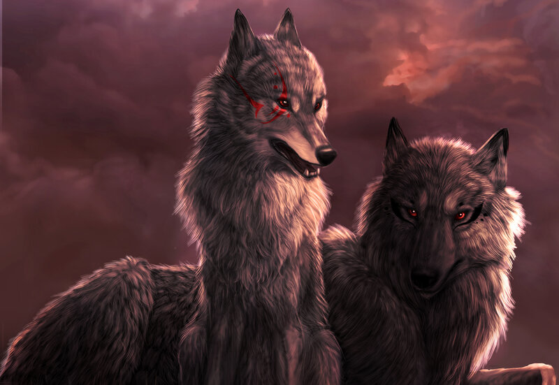 Two Wolves in Dark Sky