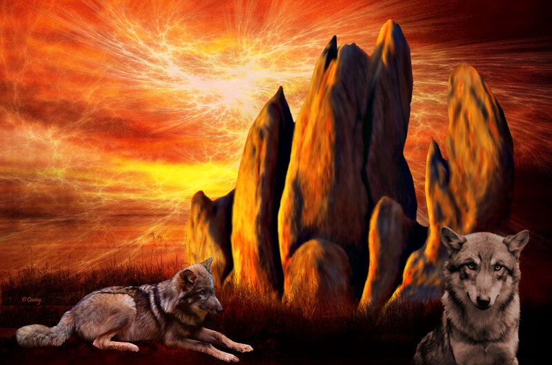 Two Wolves in Desert — Orange