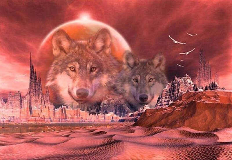 Two Wolves in Desert — Red
