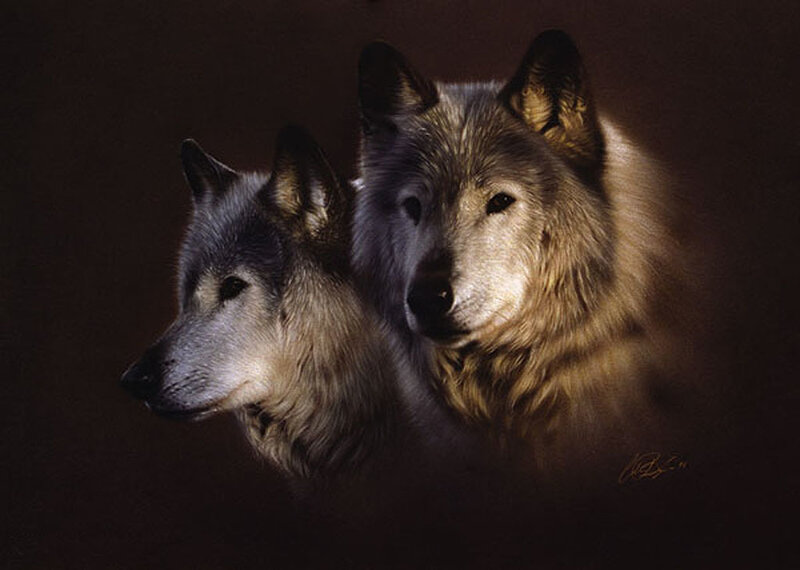 Two wolves in dim light