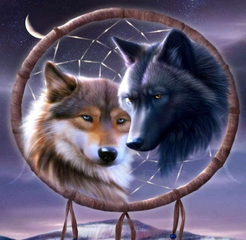 Two Wolves in Dreamcatcher — Purple, Mystical