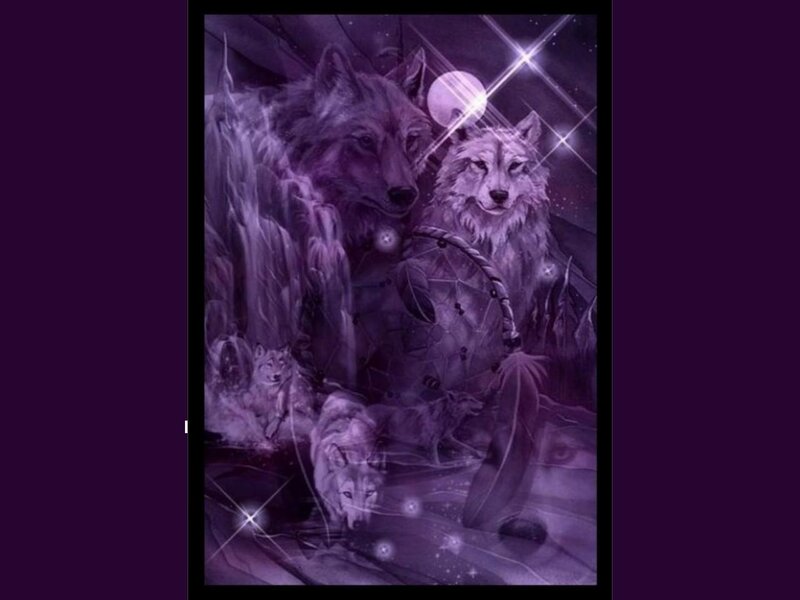 Two Wolves in Dreamcatcher