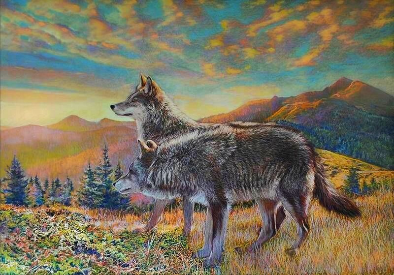 Two Wolves in Field — Blue