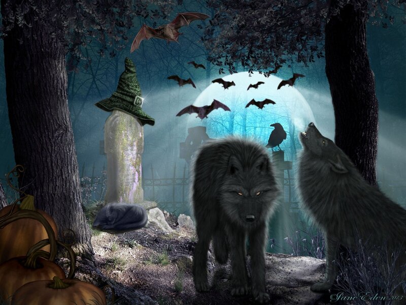 Two Wolves in Forest — Blue, Dark, Night