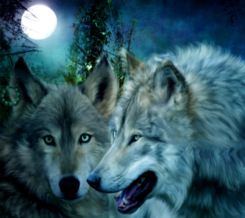 Two Wolves in Forest — Blue, Dramatic, Night, Digital Art, Moon
