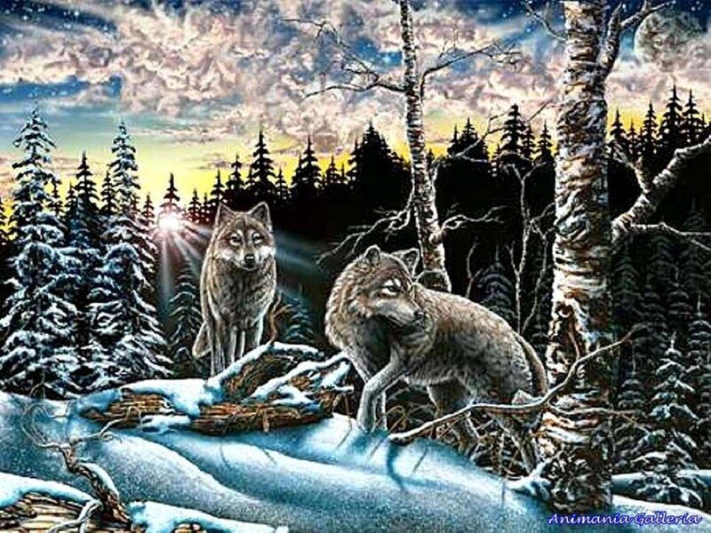 Two Wolves in Forest — Blue, Dramatic, Night, Digital Art, Snow