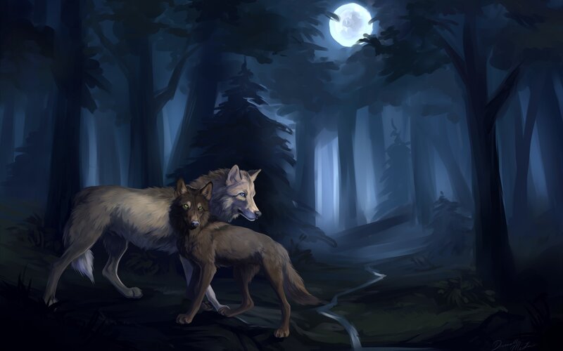 Two Wolves in Forest — Blue, Mysterious