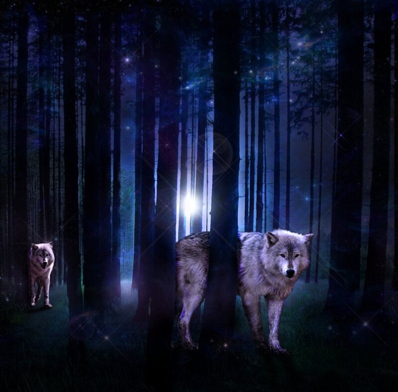 Two Wolves in Forest — Blue, Mystical