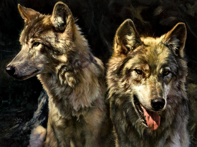 Two Wolves in Forest — Brown, Dramatic, Night, Painting