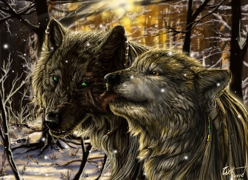 Two Wolves in Forest — Brown, Dramatic, Winter