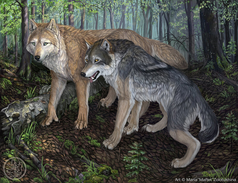 Two Wolves in Forest — Brown, Natural, Afternoon