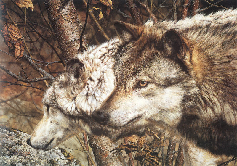 Two Wolves in Forest — Brown, Natural, Autumn, Illustration