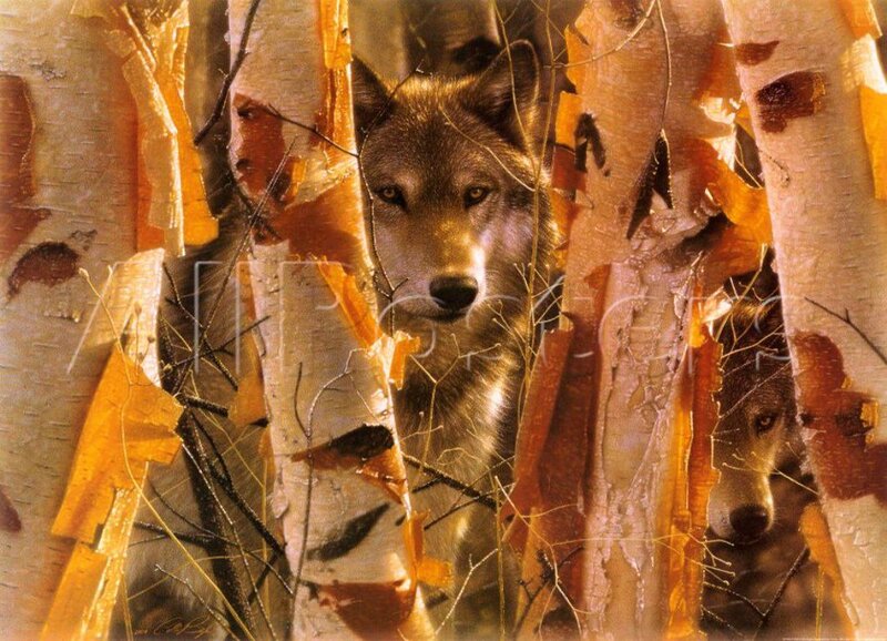 Two Wolves in Forest — Brown, Natural, Autumn, Photograph, Trees